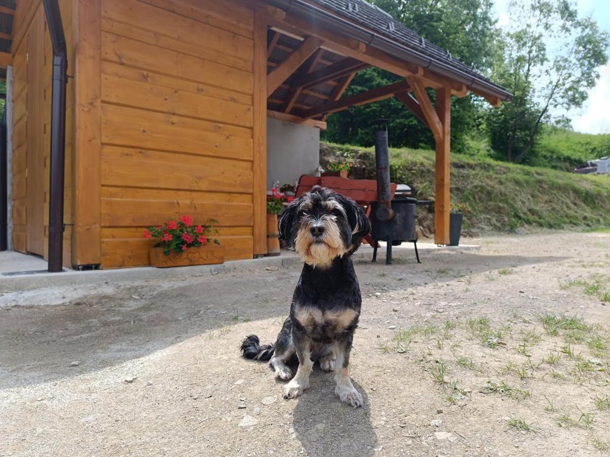Horna U Bratrikov Haligovce